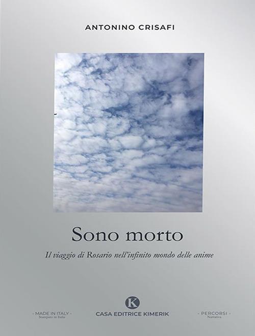 Sono morto. Il viaggio di Rosario nell'infinito mondo delle anime - Antonino Crisafi - ebook