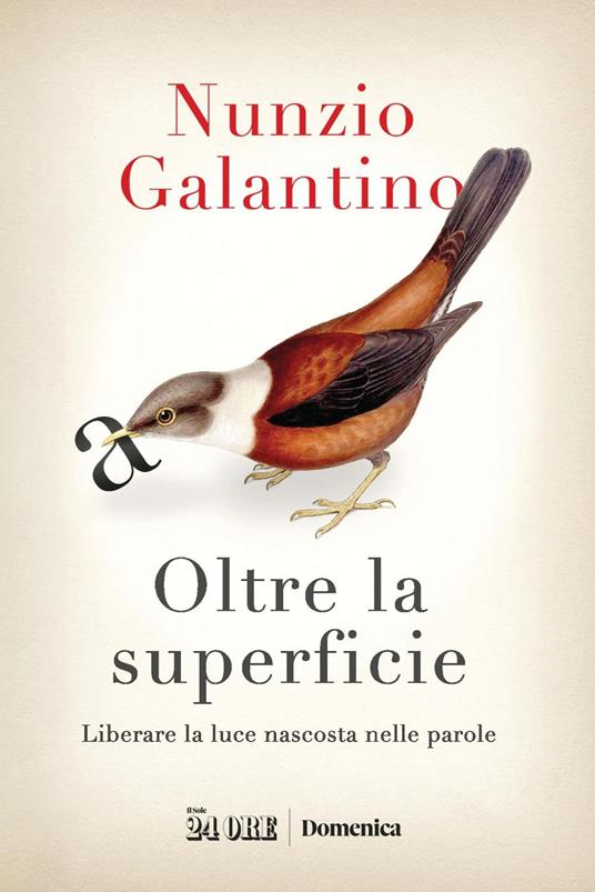 Oltre la superficie. Liberare la luce nascosta nelle parole - Nunzio Galantino - ebook