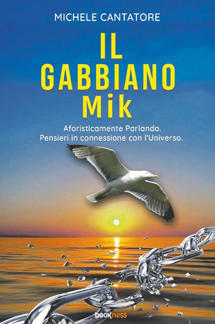 Il gabbiano Mik. Aforisticamente parlando. Pensieri in connessione con l’universo - Michele Cantatore - copertina