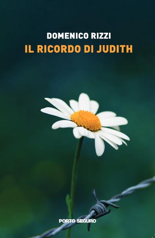 Il ricordo di Judith - Domenico Rizzi - copertina