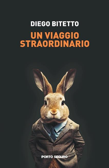 Un viaggio straordinario - Diego Bitetto - copertina