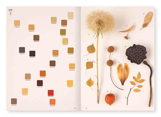 Chromatic herbarium - Massimo Gardone,Alessandra Muran - 2