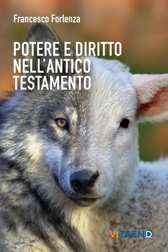 Potere e diritto nell'Antico Testamento. Un itinerario tra la storia e gli istituti del popolo ebraico - Francesco Forlenza - copertina