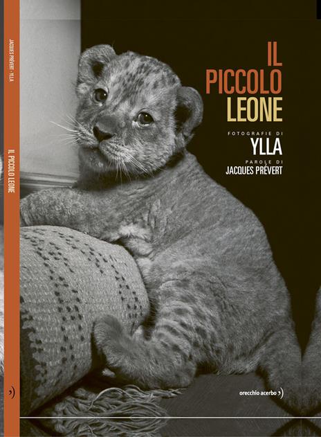 Il piccolo leone. Ediz. illustrata - Jacques Prévert - copertina