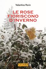 Le rose fioriscono d'inverno