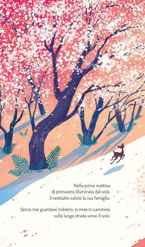 Il cerbiatto che inseguiva il sole. Ediz. a colori - Joanna McInerney - 5