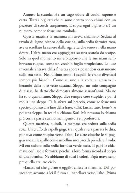 16 lettere per Lucas - Marlies Slegers - 5