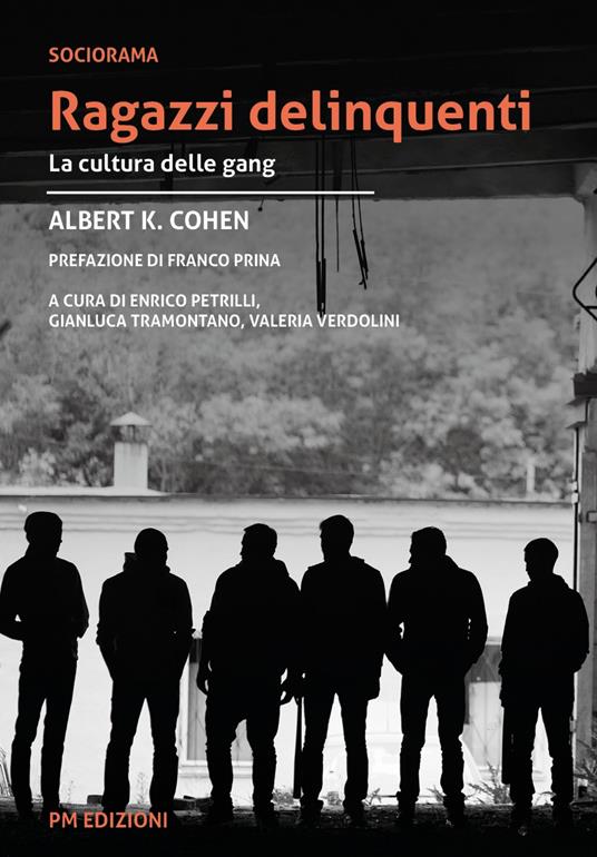 Ragazzi delinquenti. La cultura delle gang - Albert K. Cohen - copertina