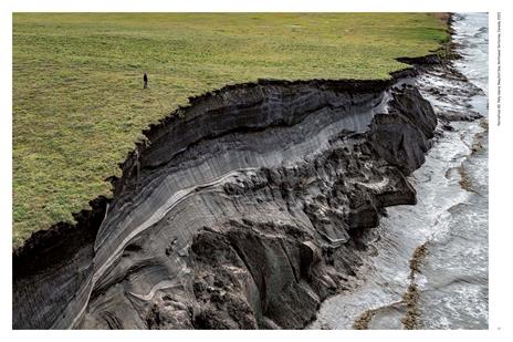 Fotografia Europea 2024. La natura ama nascondersi. Ediz. italiana e inglese - 3