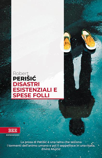Disastri esistenziali e spese folli - Robert Perisic,Elvira Mujcic - ebook