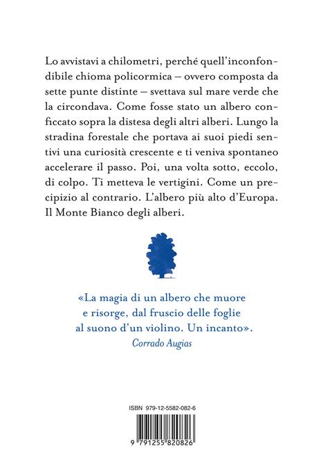 Il canto del Principe. Storia di un albero - Marco Albino Ferrari - 4