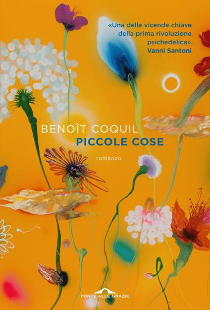 Piccole cose - Benoît Coquil - ebook