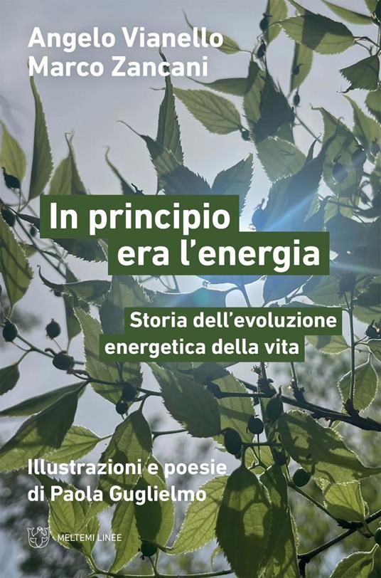 In principio era l'energia. Storia dell'evoluzione energetica della vita - Angelo Vianello,Marco Zancani,Paola Guglielmo - ebook