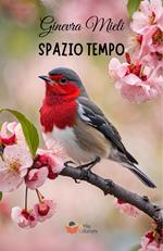 Spazio tempo