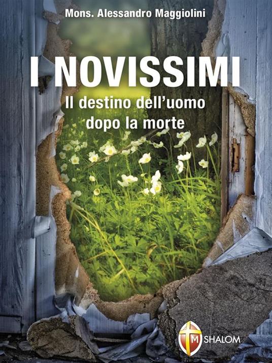 I Novissimi. Il destino dell'uomo dopo la morte - Alessandreo Maggiolini - ebook