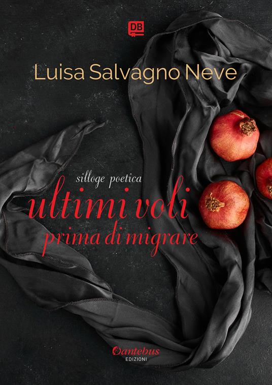 Ultimi voli prima di migrare - Luisa Salvagno Neve - copertina