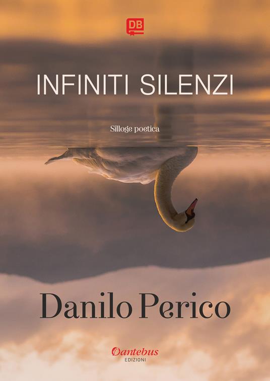 Infiniti silenzi - Danilo Perico - copertina