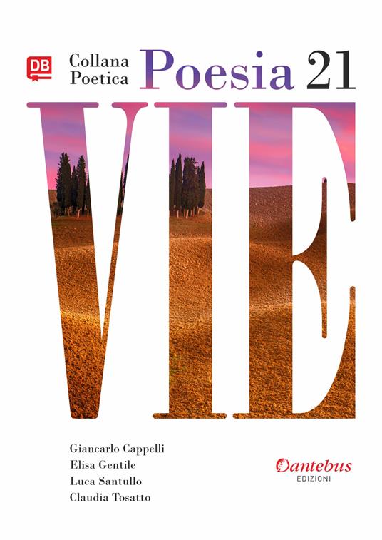 Vie. Collana poetica. Vol. 21 - Giancarlo Cappelli,Elisa Gentile,Luca Santullo - copertina