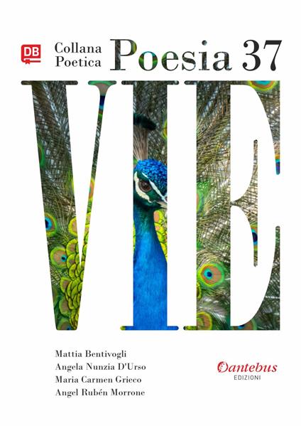 Vie. Collana poetica. Vol. 37 - Mattia Bentivogli,Angela Nunzia D'Urso,Maria Carmen Grieco,Angel Ruben Morrone - ebook