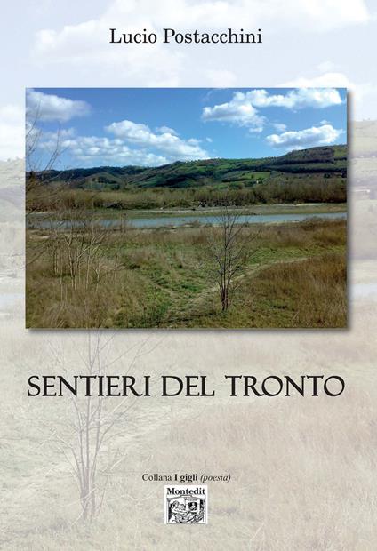 Sentieri del Tronto - Lucio Postacchini - ebook