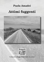 Attimi fuggenti