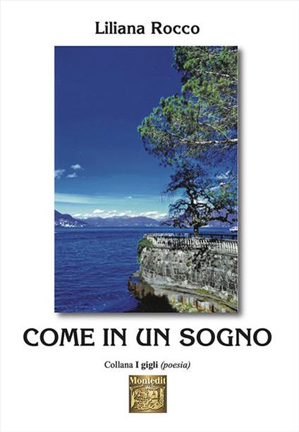 Come in un sogno - Liliana Rocco - copertina