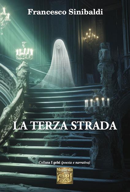 La terza strada - Francesco Sinibaldi - copertina