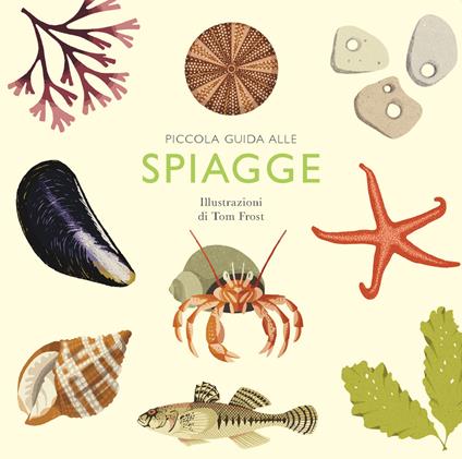 Piccola guida alle spiagge - Alison Davies - copertina