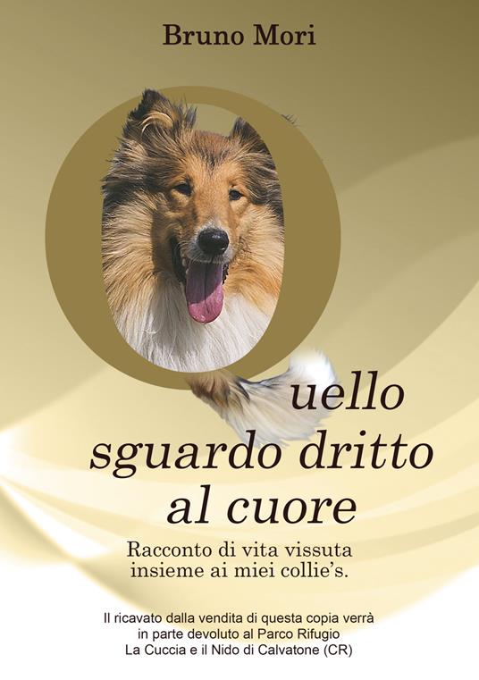 Quello sguardo dritto al cuore. Racconto di vita vissuta insieme ai miei collie's. - Bruno Mori - copertina