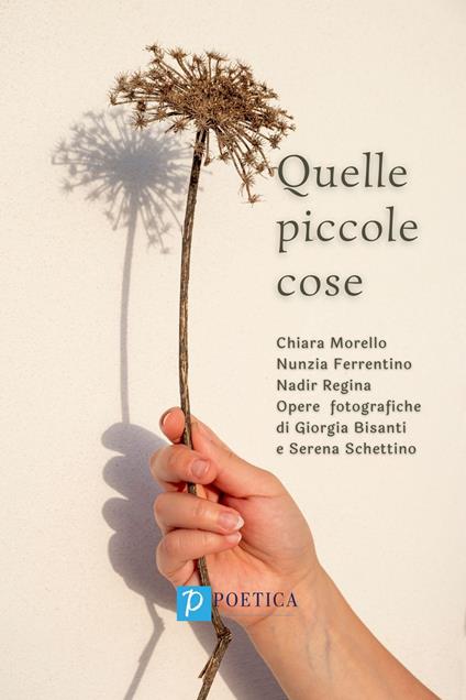 Quelle piccole cose - Chiara Morello,Nunzia Ferrentino,Nadir Regina - copertina