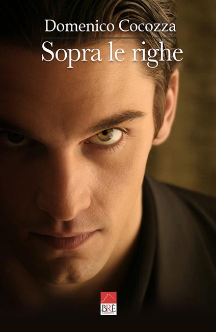 Sopra le righe - Domenico Cocozza - copertina