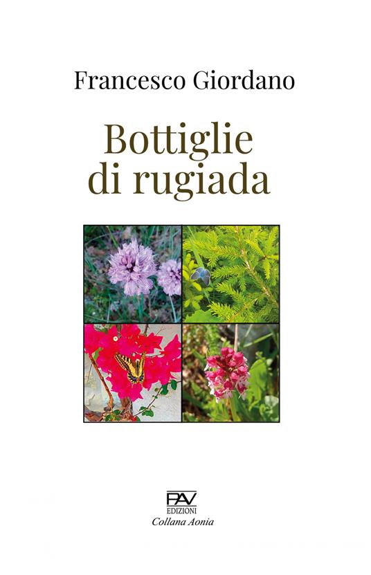 Bottiglie di rugiada - Francesco Giordano - copertina