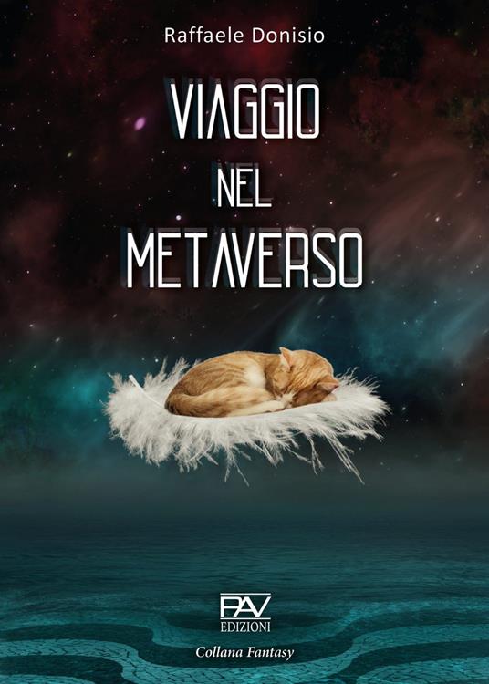 Viaggio nel metaverso - Raffaele Dionisio - copertina