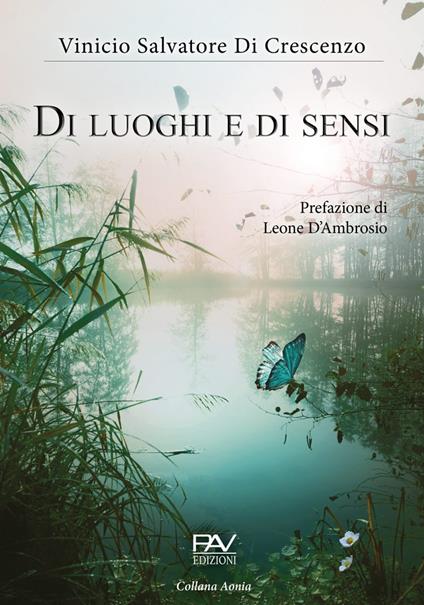 Di luoghi e di sensi - Vinicio Salvatore Di Crescenzo - copertina