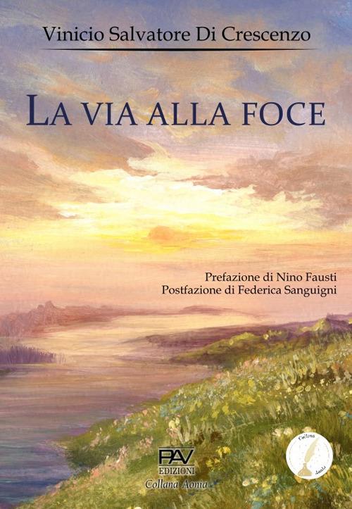 La via alla foce - Vinicio Salvatore Di Crescenzo - copertina