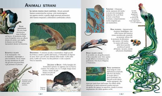 Enciclopedia illustrata per ragazzi - 3