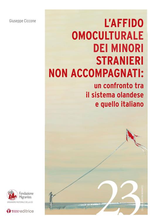 L'affido omoculturale dei minori stranieri non accompagnati: un confronto tra il sistema olandese e quello italiano - Giuseppe Ciccone - copertina