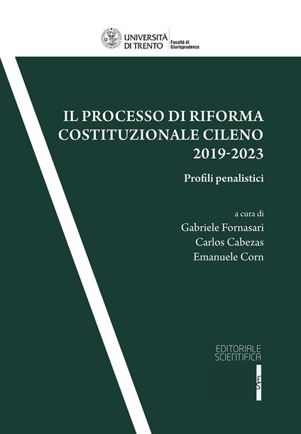 Il processo di riforma costituzionale cileno 2019-2023 - copertina