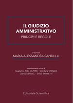 Il giudizio amministrativo