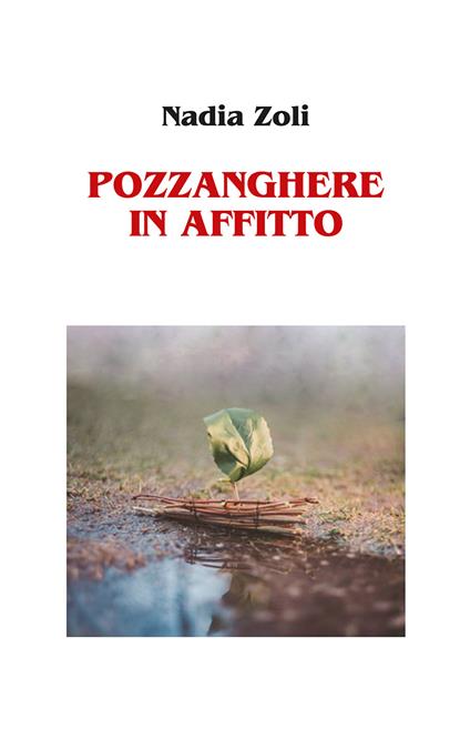 Pozzanghere in affitto - Nadia Zoli - copertina