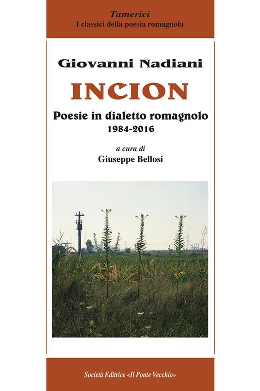 Incion. Poesie in dialetto romagnolo 1984-2016 - Giovanni Nadiani - copertina