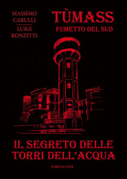 Il segreto delle torri dell'acqua - Massimo Carulli,Luigi Ronzitti - copertina