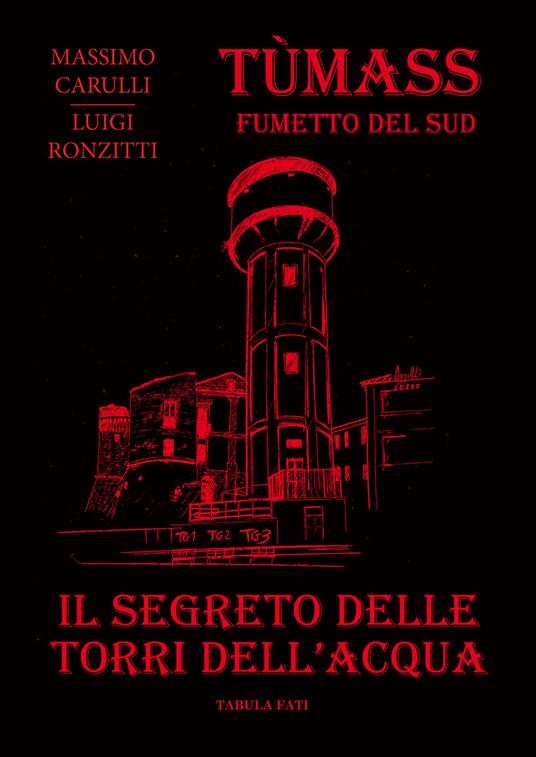 Il segreto delle torri dell'acqua - Massimo Carulli,Luigi Ronzitti - copertina