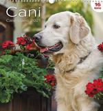 Calendario Grande Cani