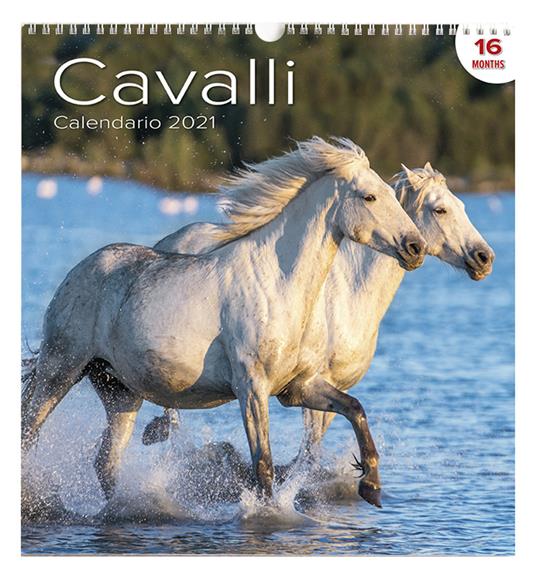 Calendario Grande Cavalli - copertina