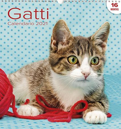 Calendario Grande Gatti - copertina