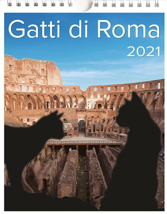 Calendario Medio Gatti di Roma - Libro - Bella Immagine - | IBS