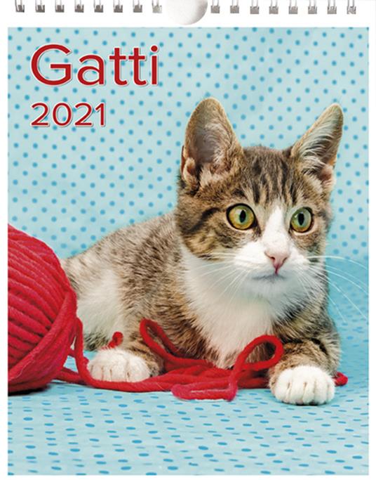 Calendario Medio Gatti - copertina