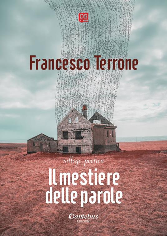 Il mestiere delle parole - Francesco Terrone - ebook