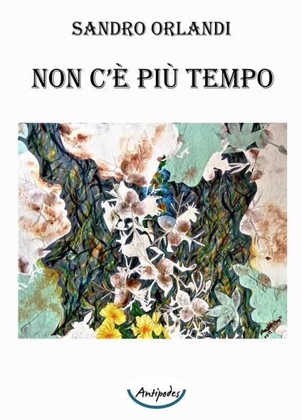 Non c'è più tempo - Sandro Orlandi - copertina